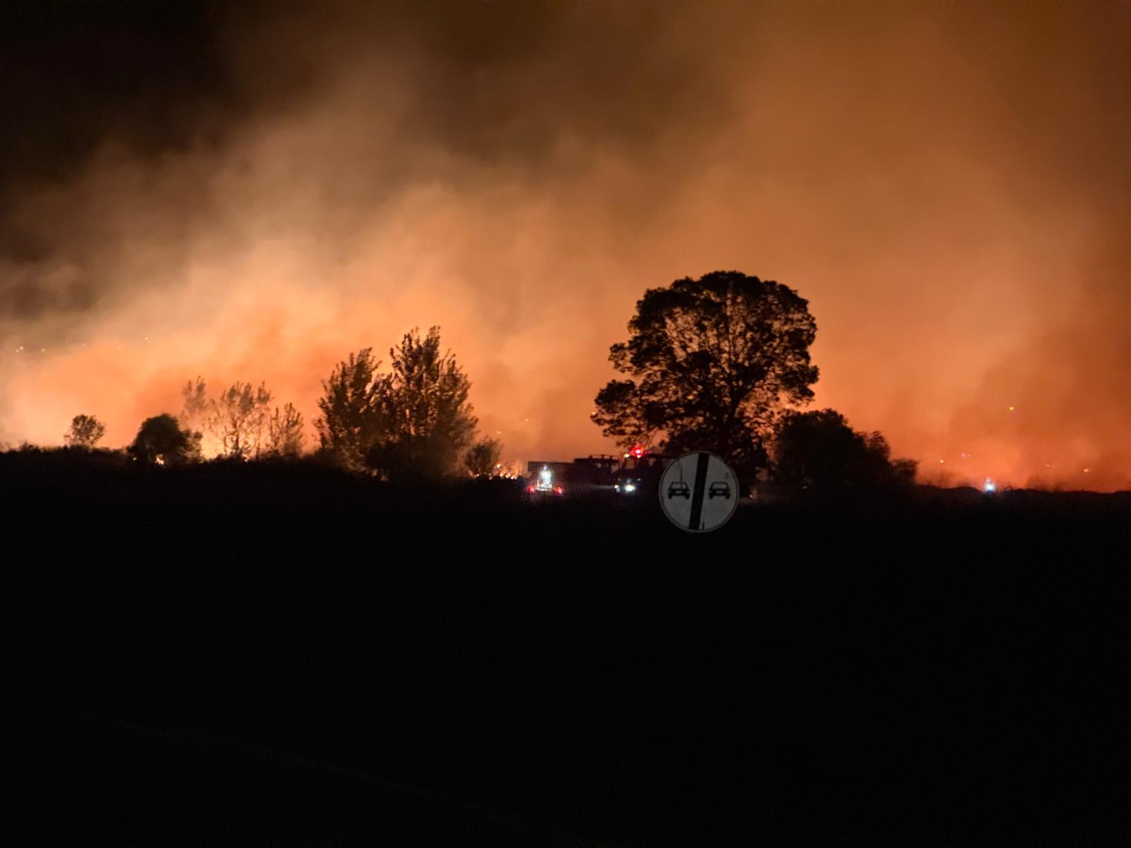 809C50B1 F3Ea 41Df Ac72 A24E1900F0A6