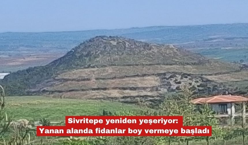 Sivritepe-3