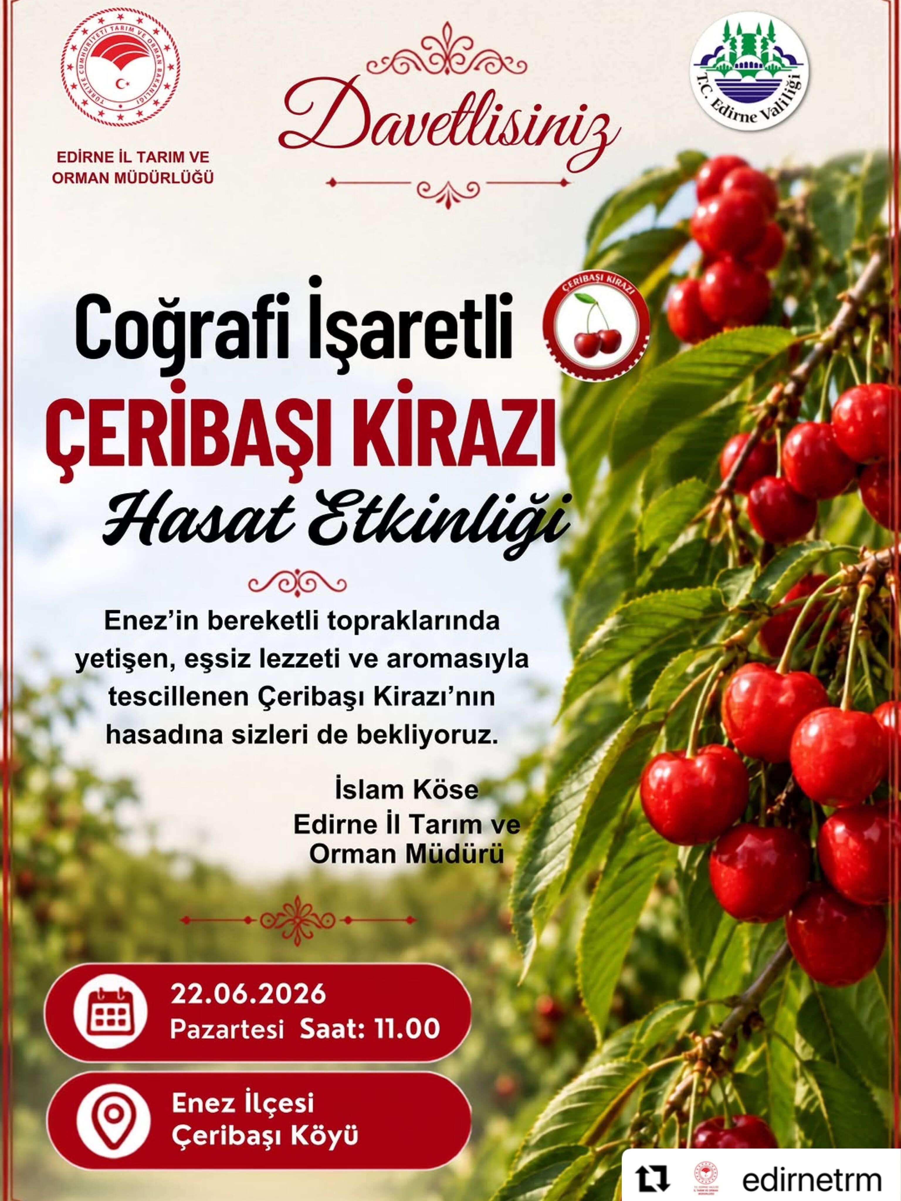 Çeribaşı Kiraqzı Hasadı