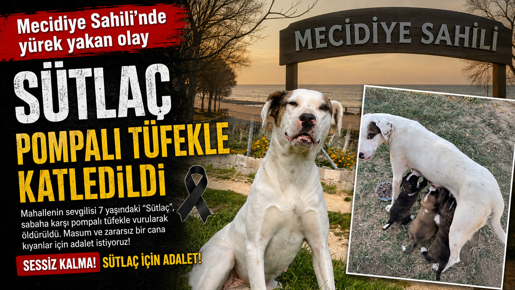 "Sütlaç" pompalı tüfekle katledildi