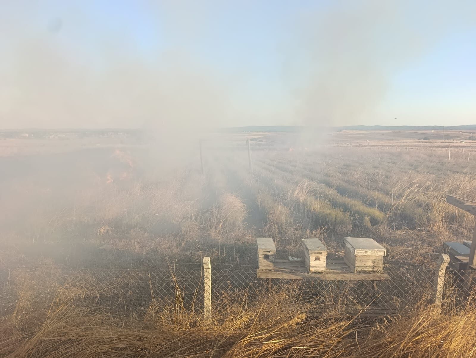 L A V A N T A T A R L A S I N D A Y A N G I N 1513971 450467