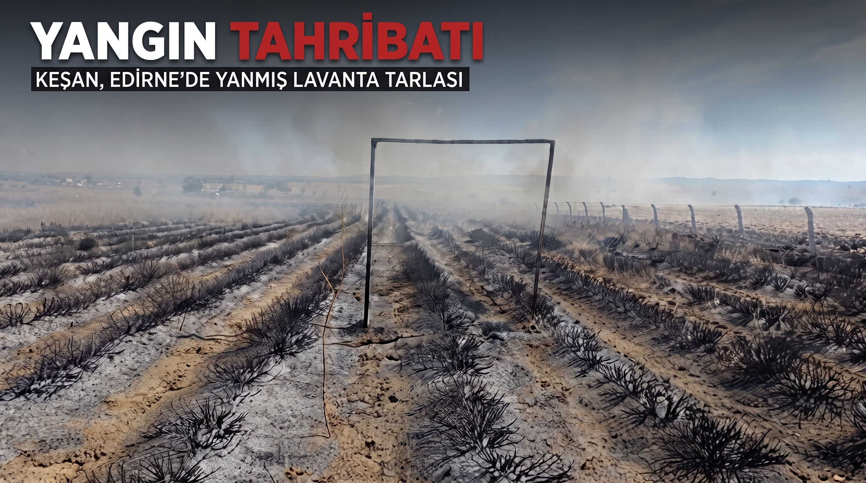 Keşan'da Lavanta tarlasında yangın